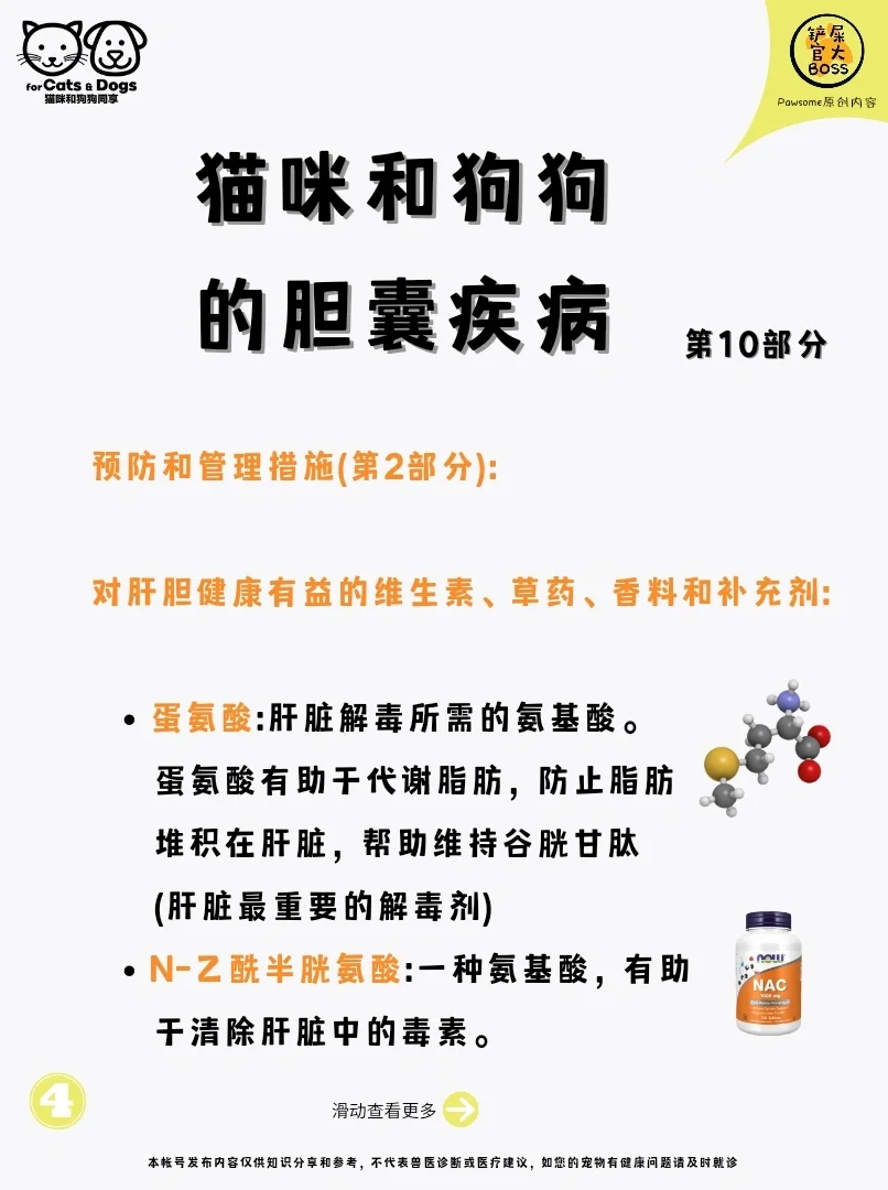 对肝胆健康有益的维生素、草药、香料和补充