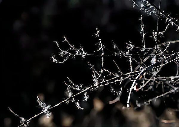 活到花甲才看透的处世真相：懂边界、稳心性，才是顶级智慧
 
一条“六十岁才悟透的