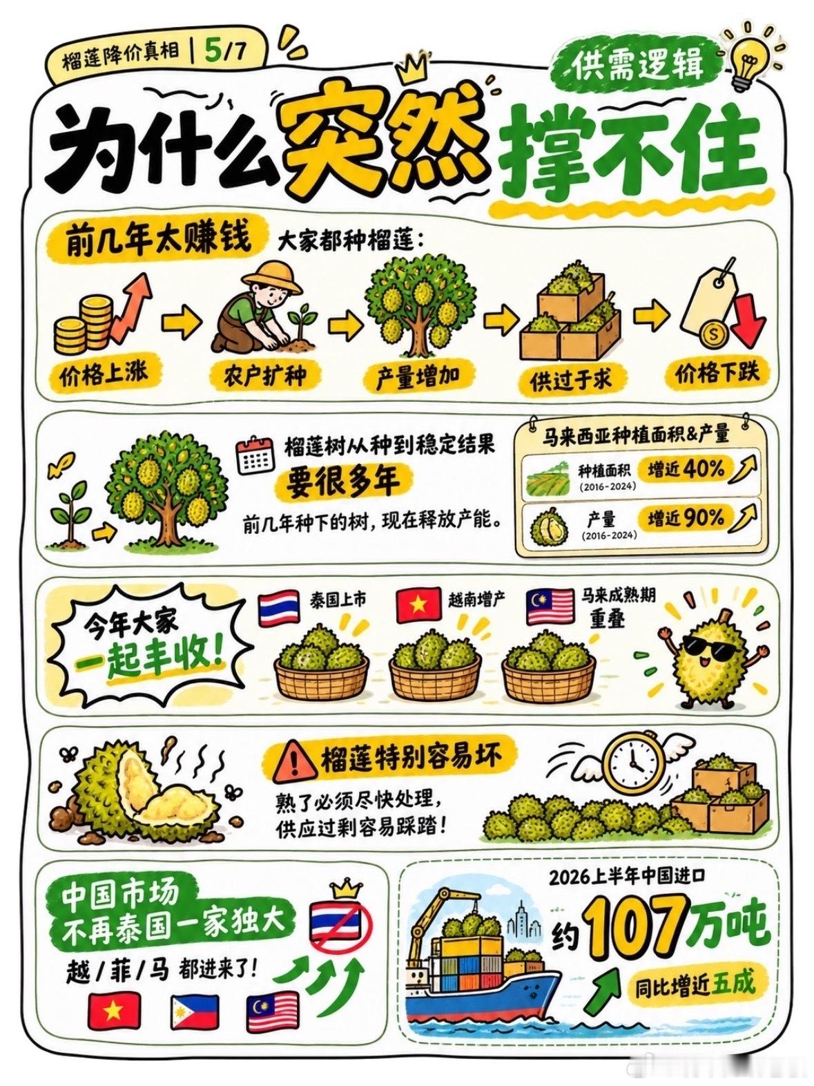 榴莲价格彻底崩了曾经四五十块一斤的金枕，如今超市19.9、地摊9.9，批发价探到