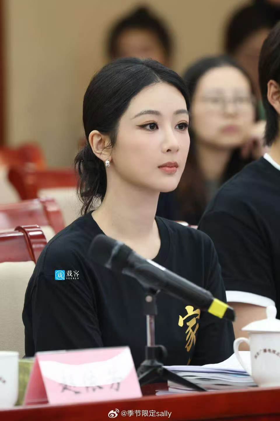 杨紫亮相电视剧家业研讨会杨紫亮相电视剧家业创作座谈会 哇塞好漂亮 