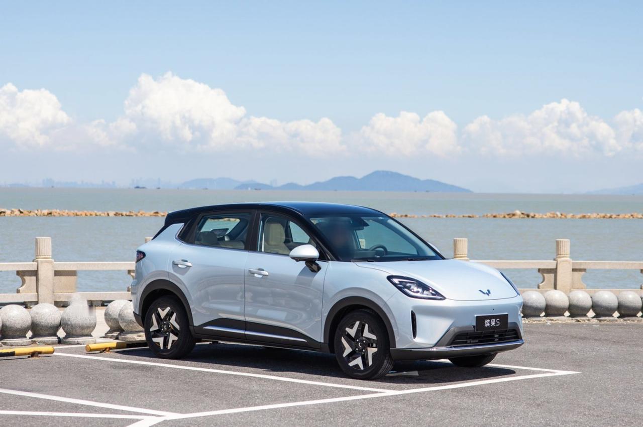 缤果家族十月销量力压海鸥和极狐T1，竟是因为缤果S完成了超进化？
 
十月份的纯