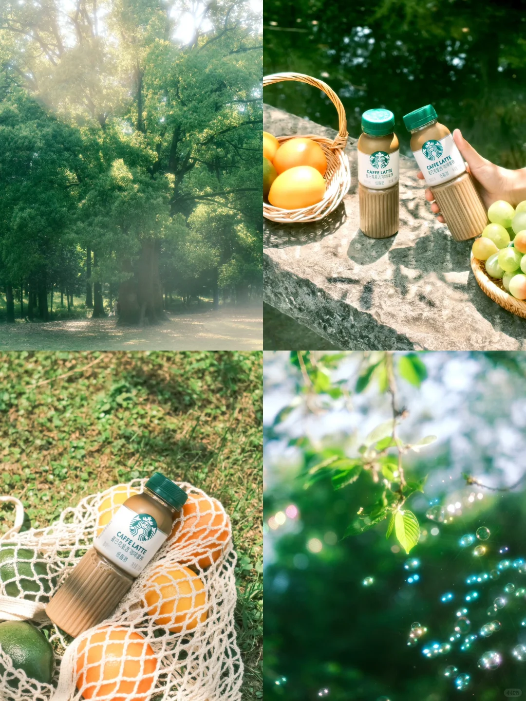 在夏天的清晨与日落｜Fujifilm