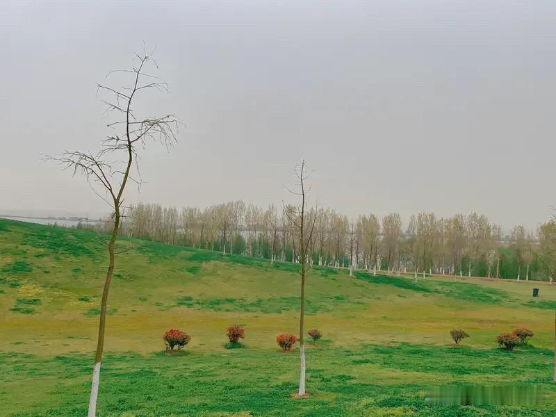 春风得意马蹄轻，草色青青柳色明。
踏青正趁好时节，不负春光不负卿。