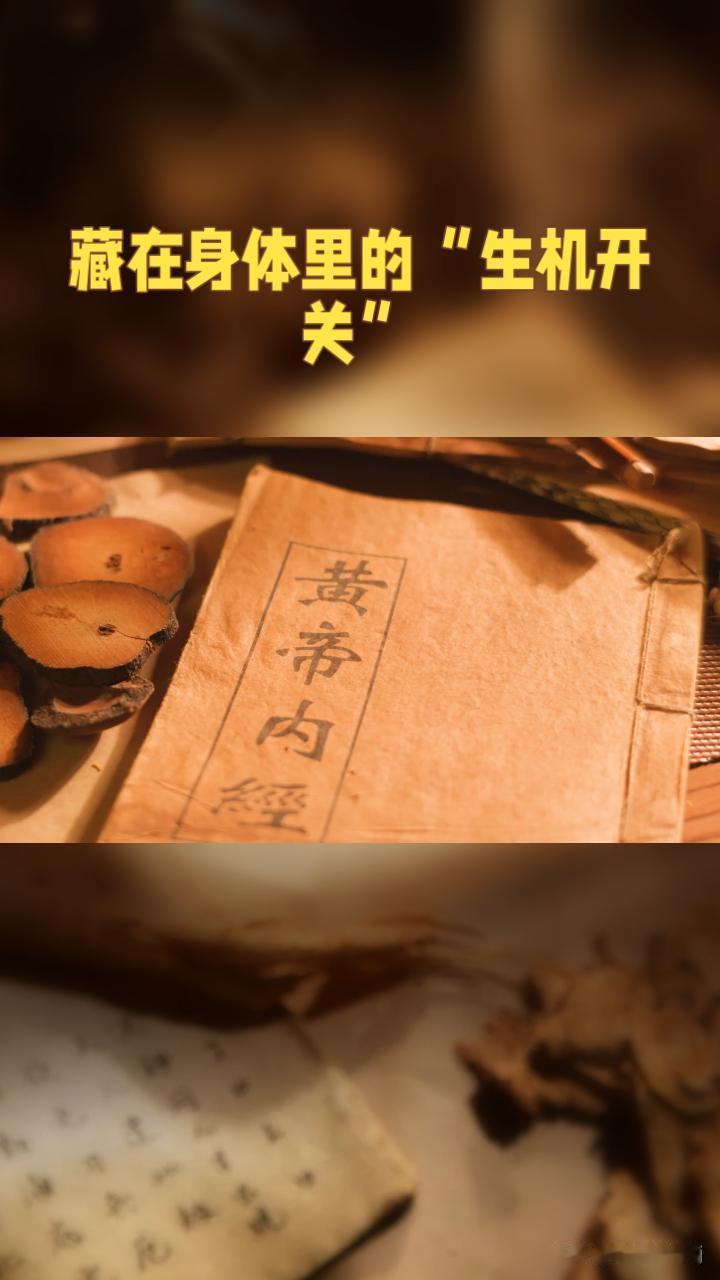 热爱养生，就学黄帝外经，今年分包络篇的视频内容，下期分胆木篇的内容，欢迎大家继续