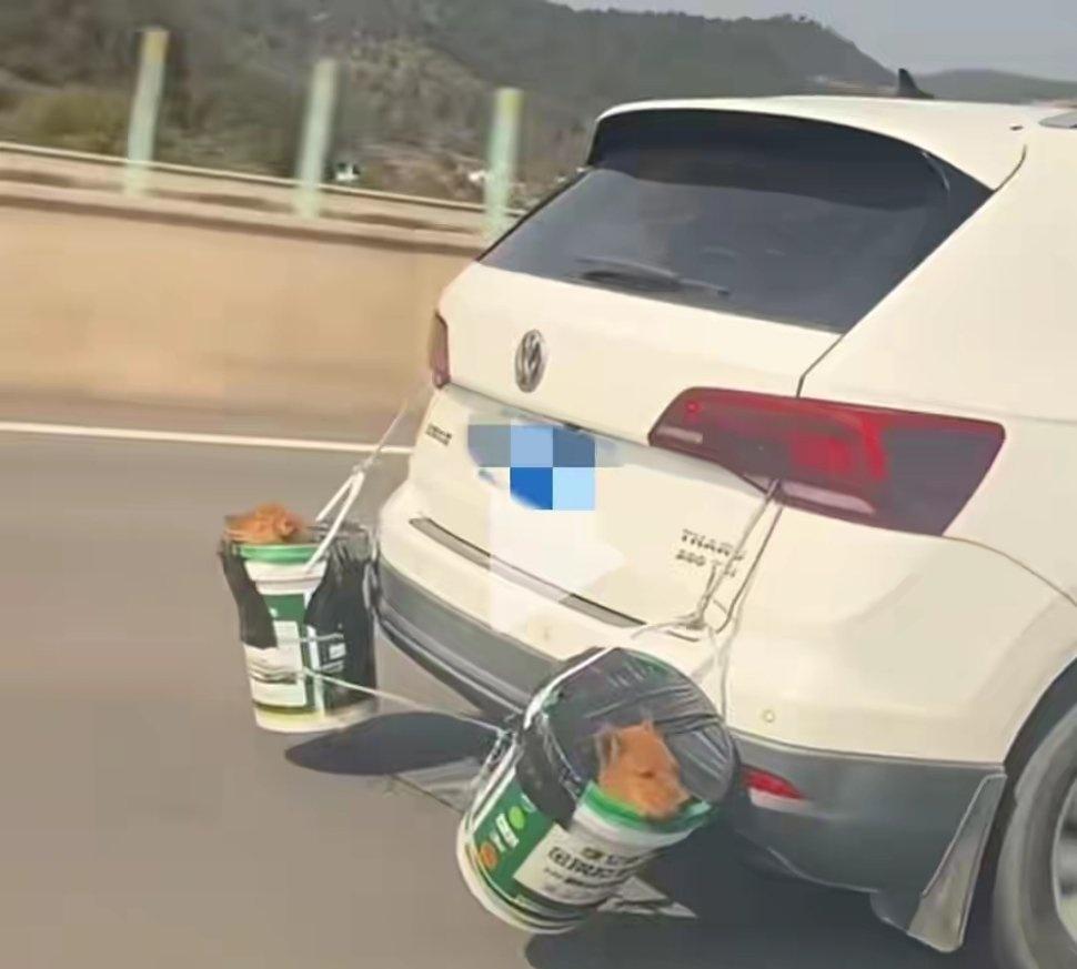 “独在异乡为异客，每逢佳节倍思亲。”从古至今，春节回家，就像是一场无需约定的全民