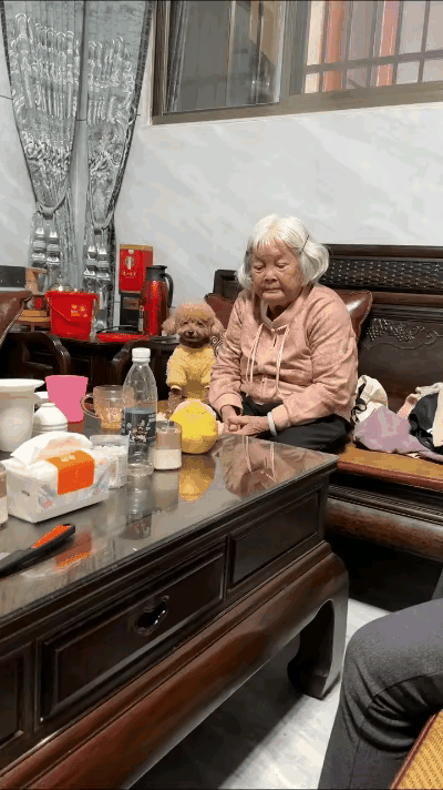 趣事分享：俗话说吃谁家的饭就像谁，这只小狗狗成年在老奶奶身边，一举一动都模仿着老