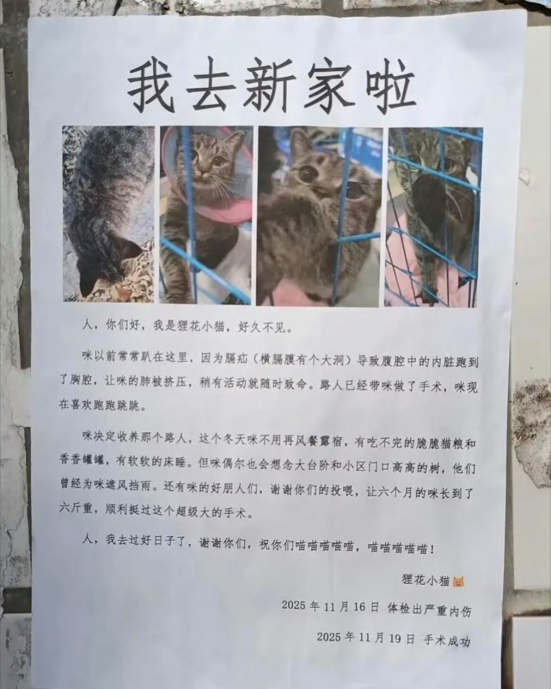 一张告示 让整个小区都被治愈了 