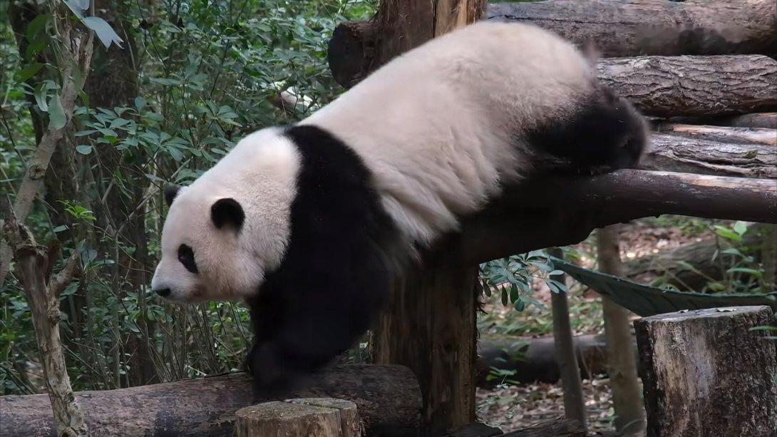 宝宝回家路上又在闻妹妹的味道
