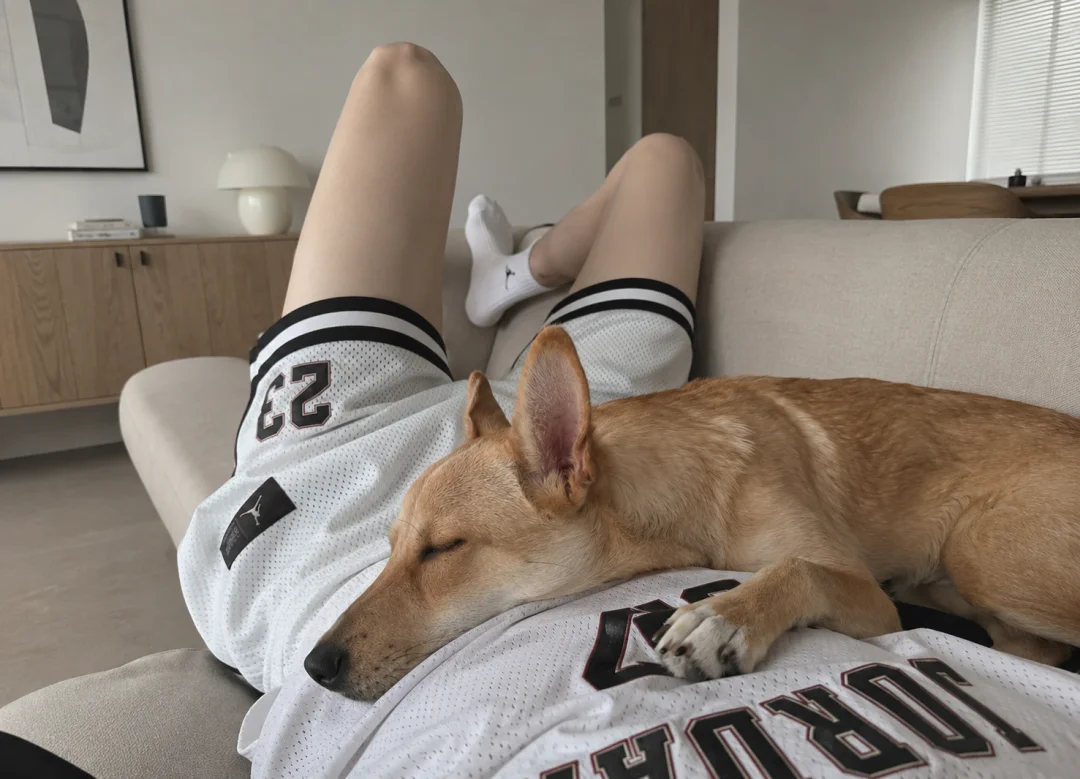 喜欢狗，各种狗
