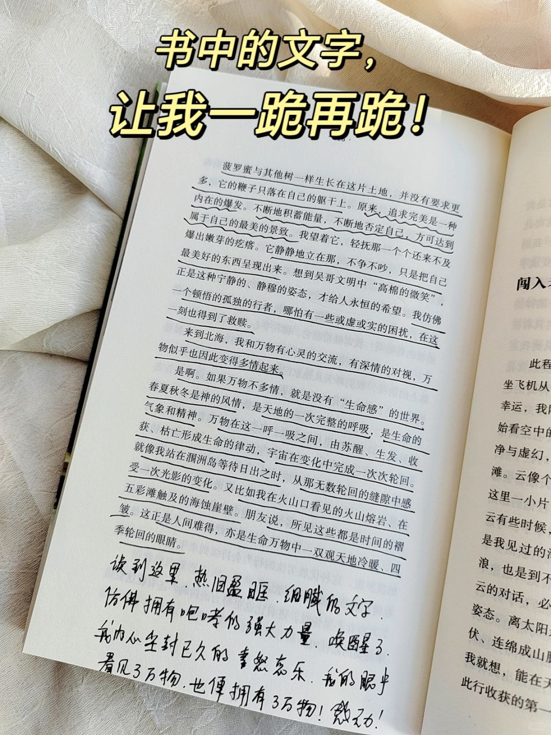 救命🆘她真的太会写了！