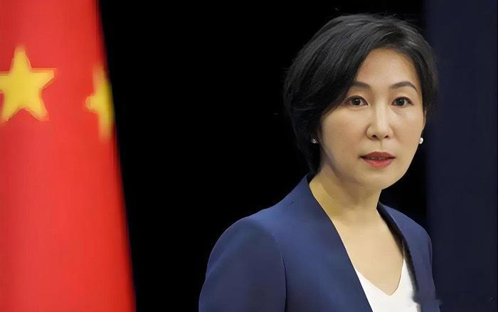 默斋札记：佩泽希齐扬之问·默斋主人原创时政随笔伏案入夜，东江暮色漫过默斋檐角，江