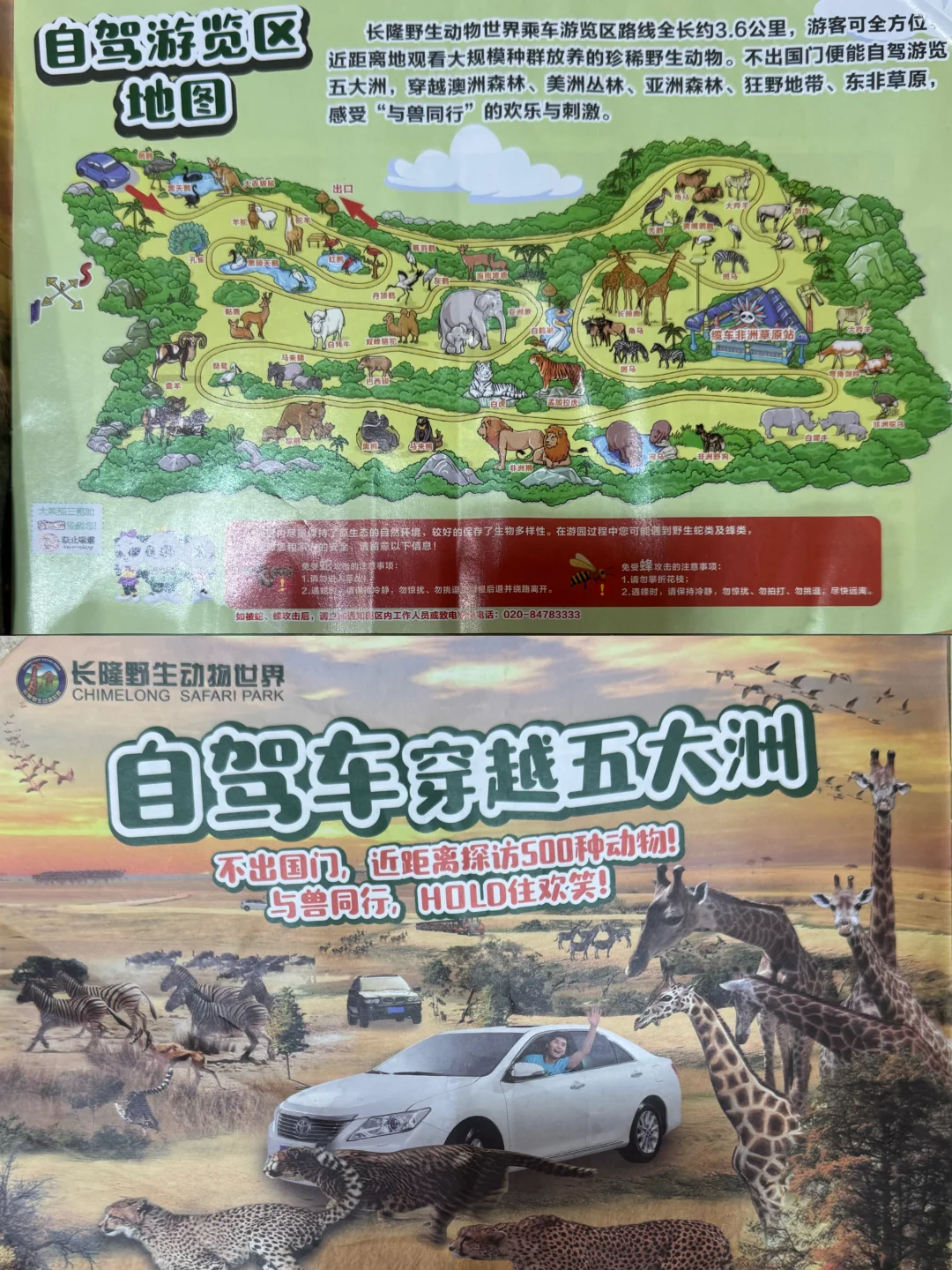 谁还没玩过自驾车穿越五大洲！