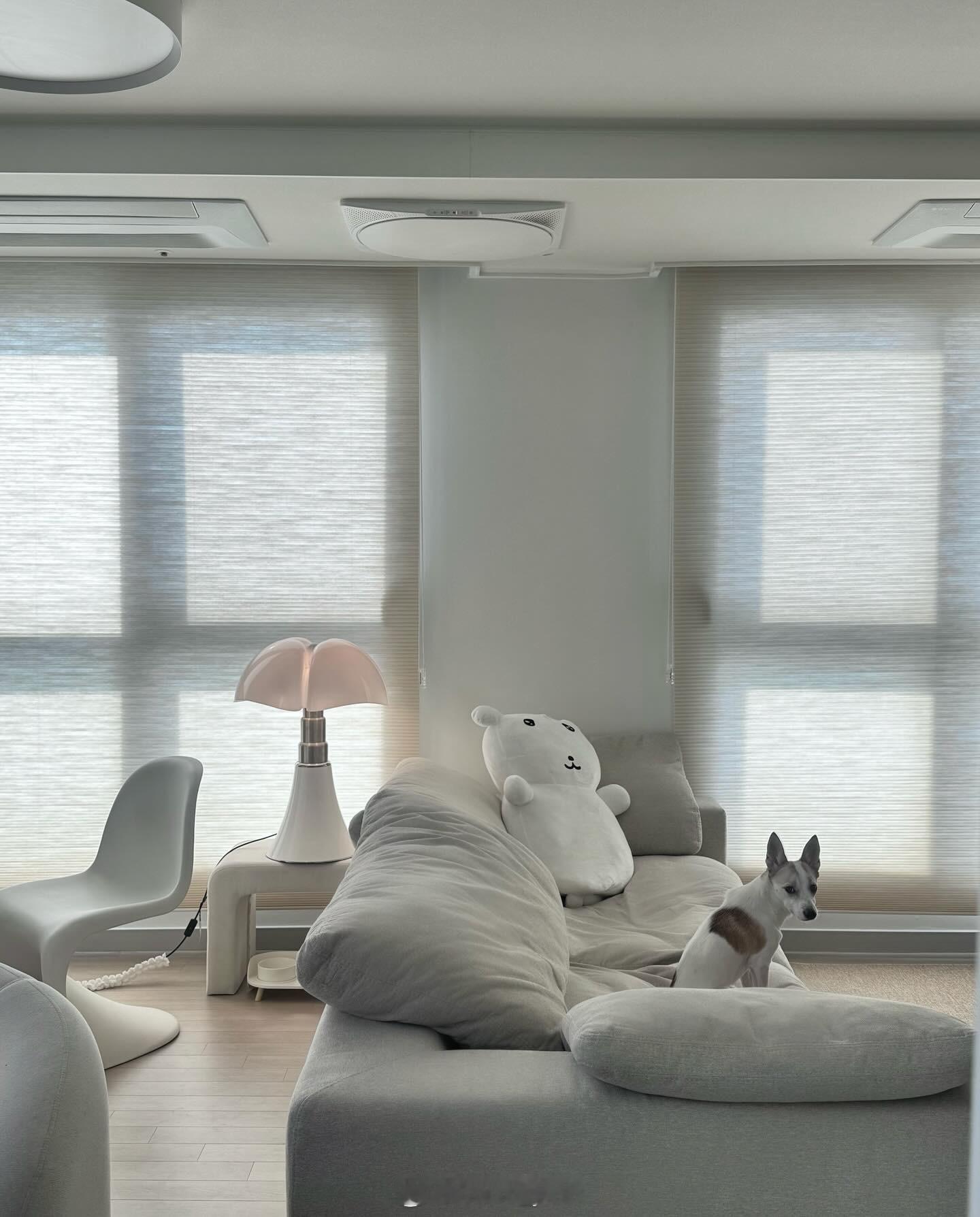 智妍更新一组她的家装 