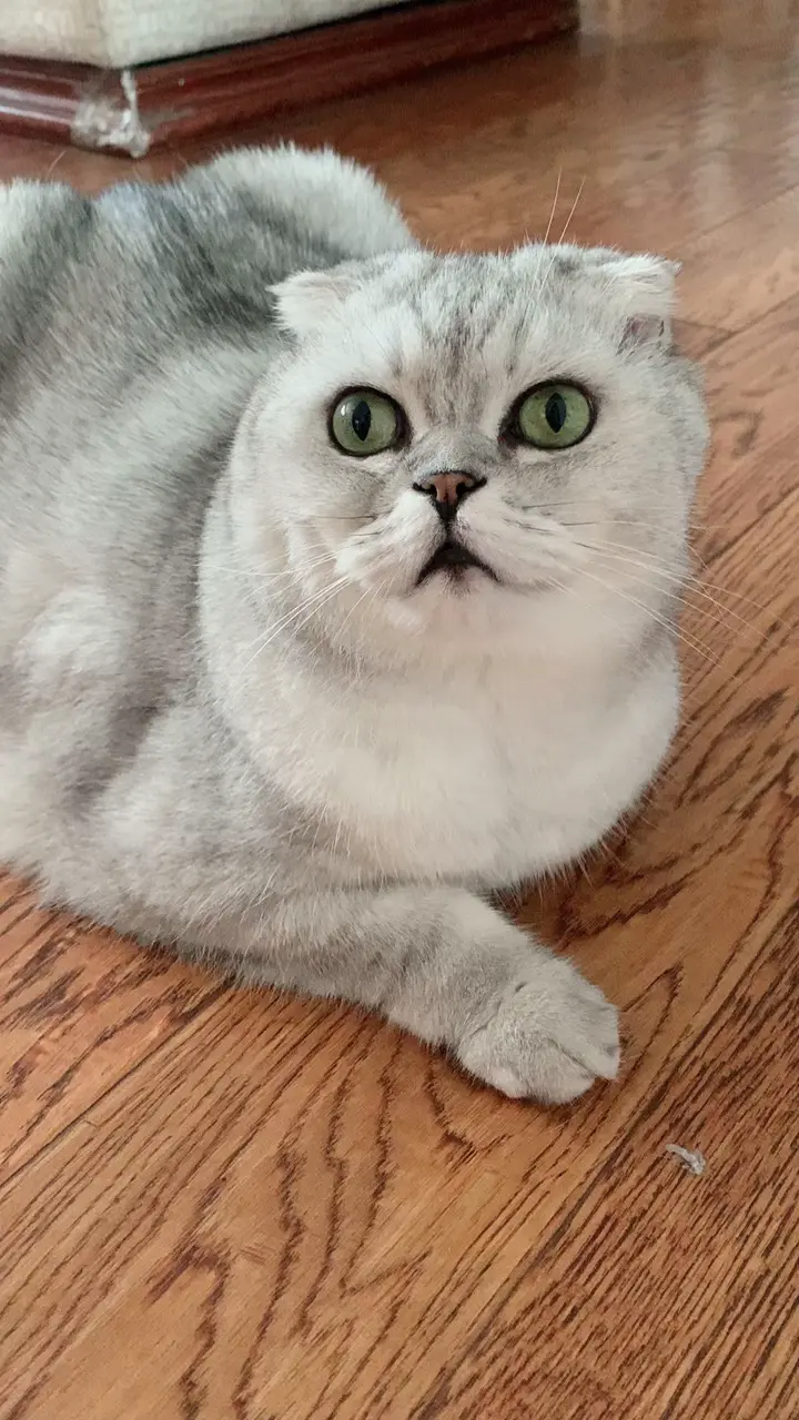 微笑