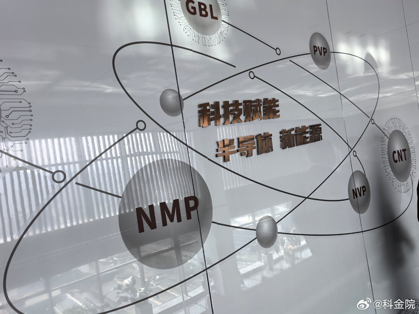 中国社会科学院特聘研究员杨博钦博士：何为市场主体？咱们先把市场比作“一个超大的交