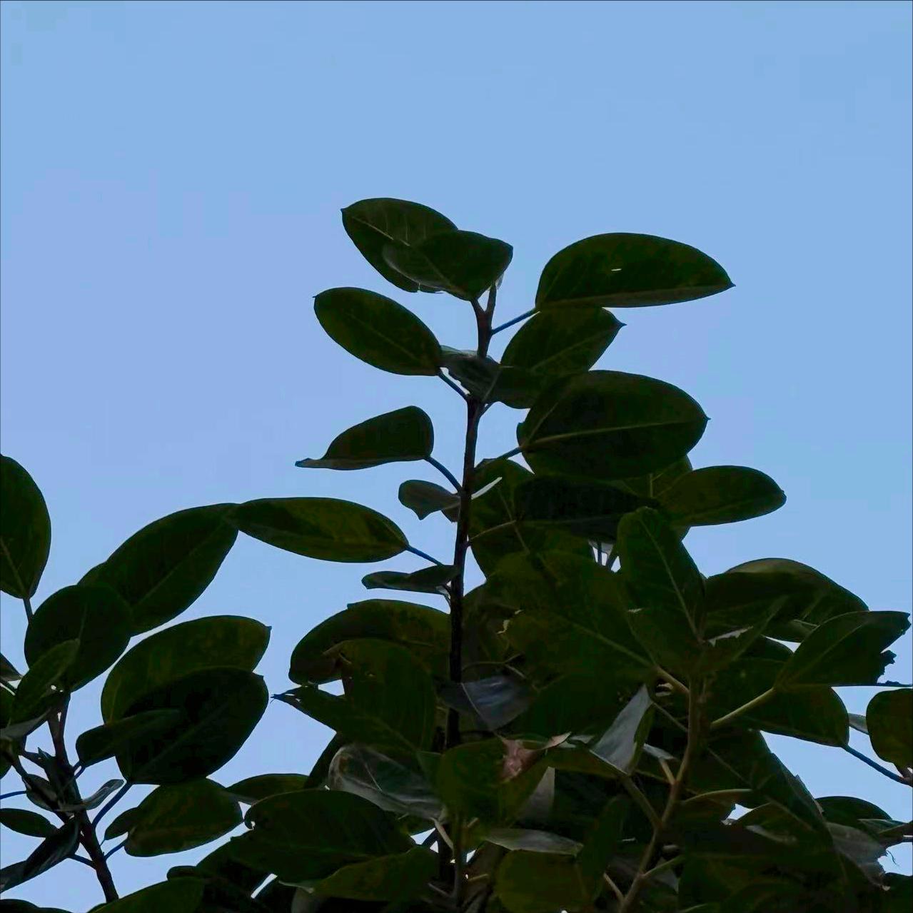 今晚   中央纪委：执纪审查1人
 
3月30日晚，该部门执纪审查1人，为今年6