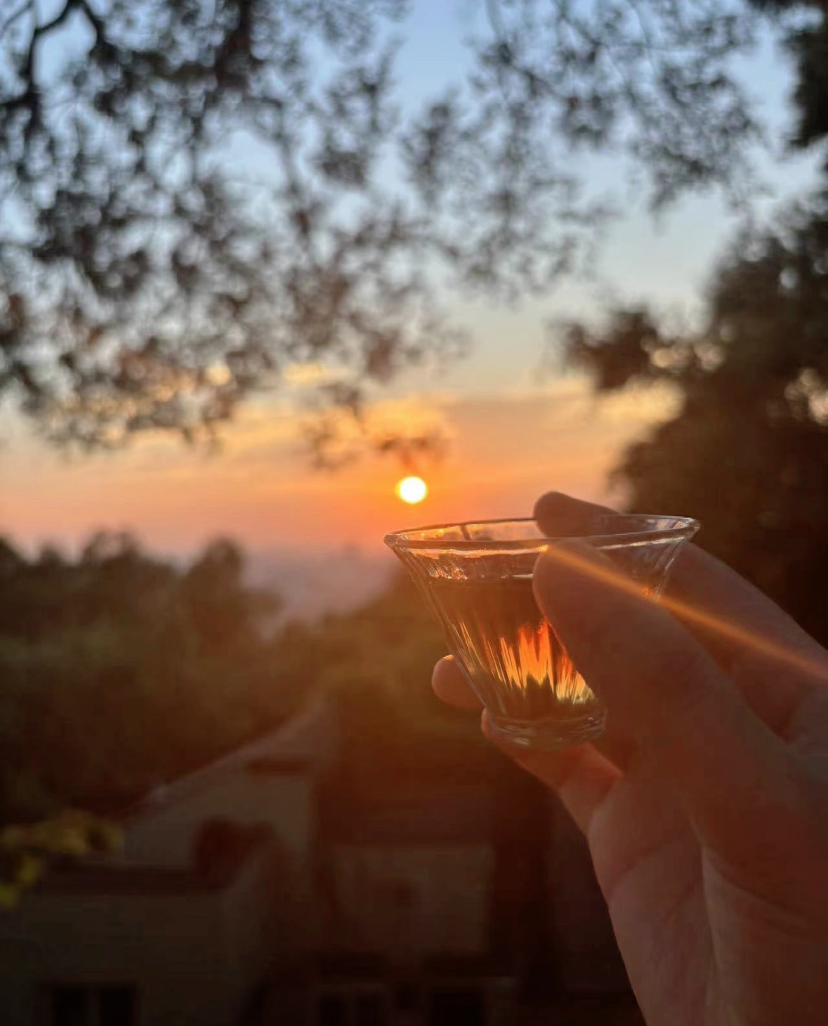 我偷了黄昏的酒还想拉晚霞的手活的蝇营狗苟却心念海棠花瘦 