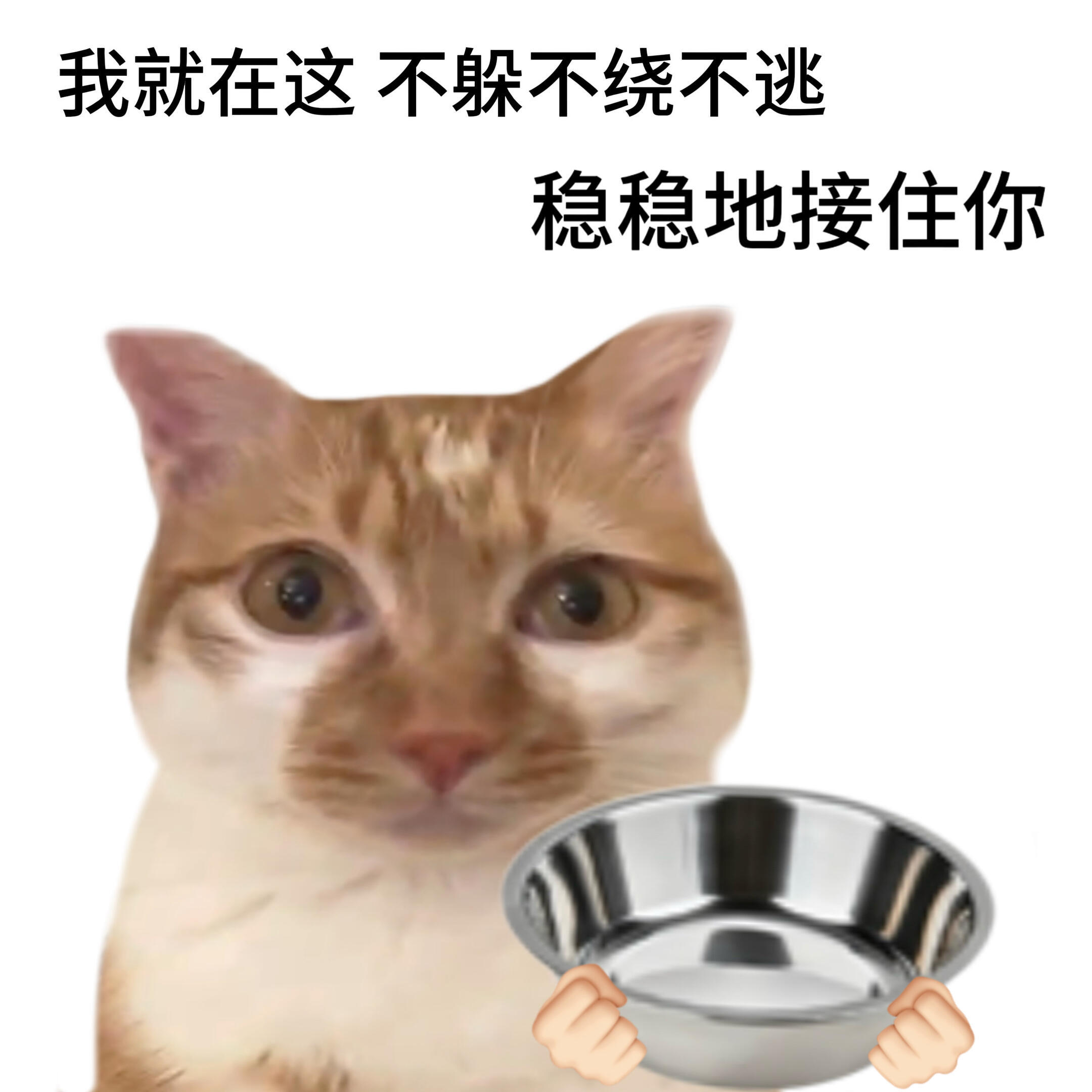 对所有🫓态度 