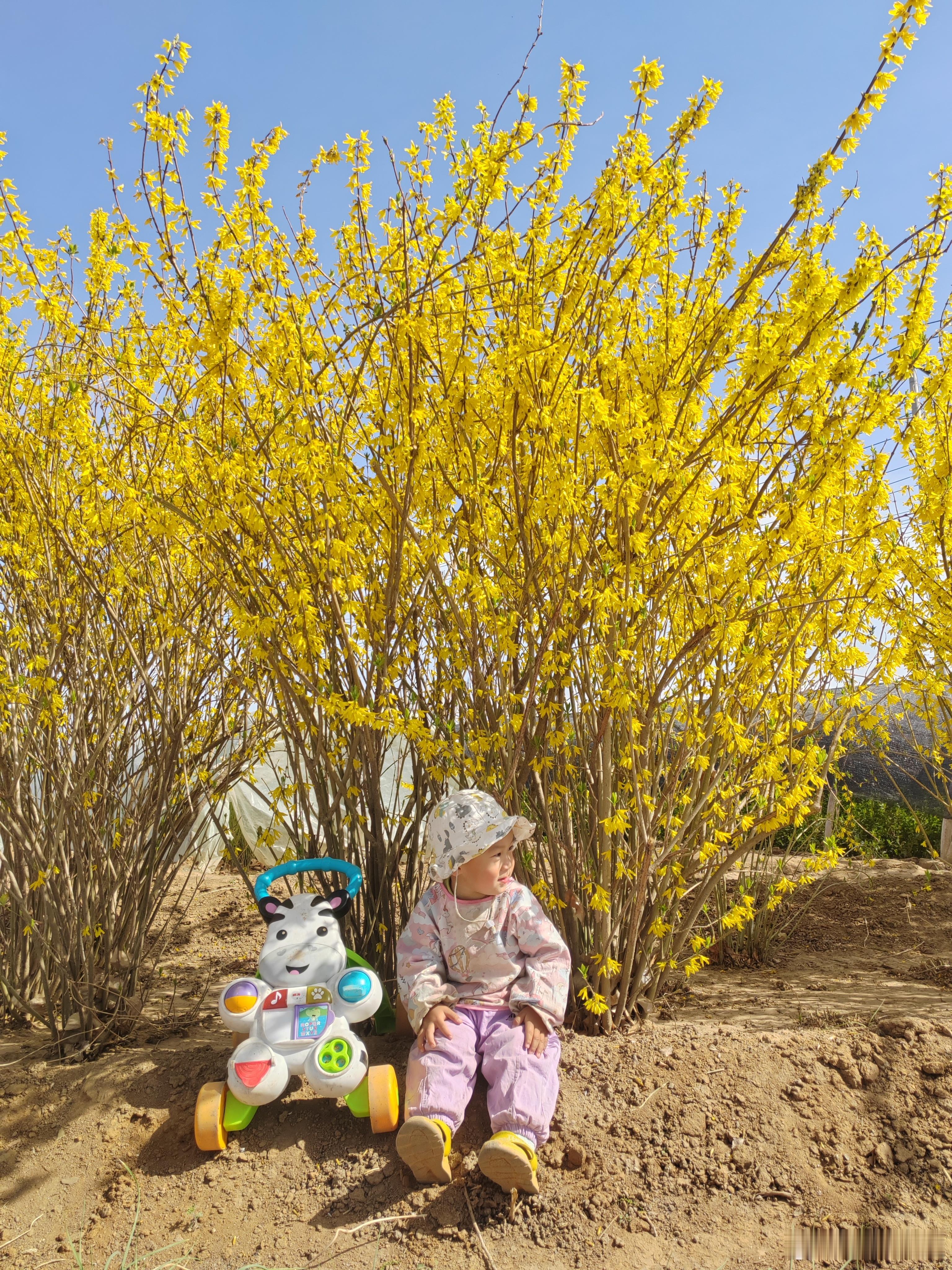 晒出我的年度兴趣好好拍照的一年 四季轮转，每个季节都有我们的喜爱。春天，海棠花还