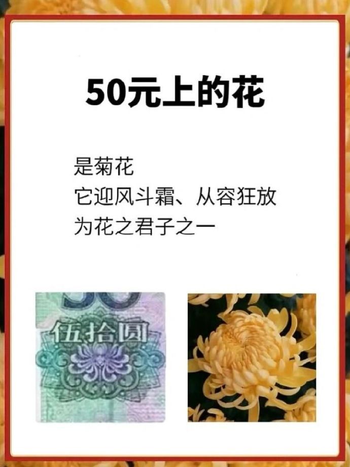 一个人民币冷知识 ​​​