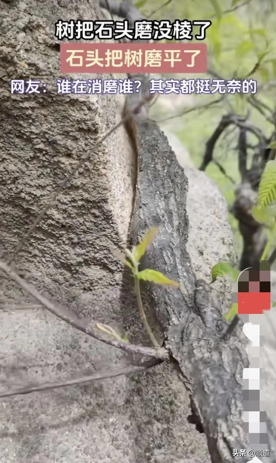 看到一条评论说，结婚证应该设置三年有效期，到期了，合适再续签，不合则散。
我觉得