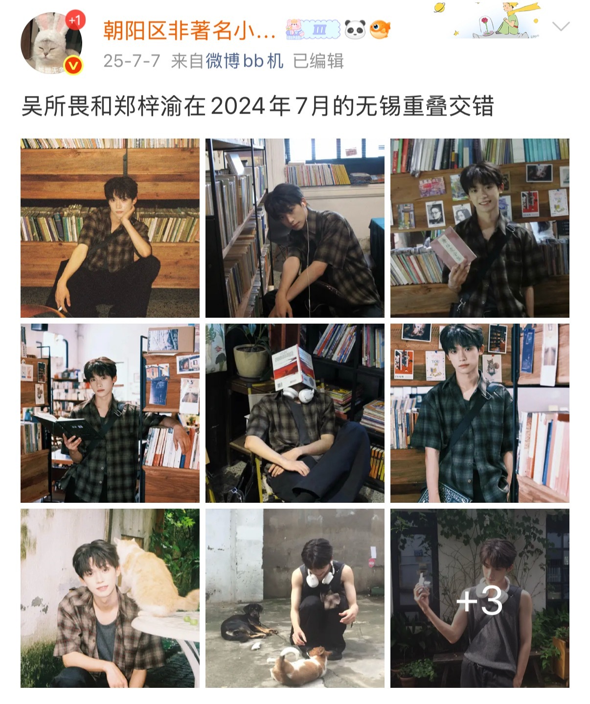 被柴鸡蛋诈骗所以有点寡的那年今日... 