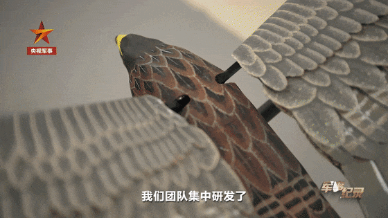 【感受下！中国无人机已进化到这种程度了：仿鹰、仿鸽、仿蝴蝶、仿甲虫…】我国无人机