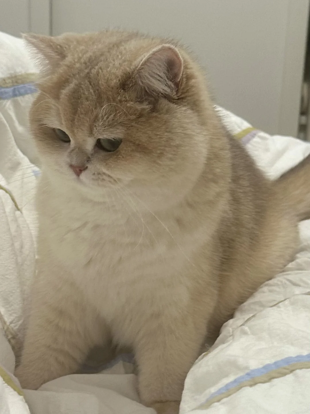 骂了她一句  满脸写着不服