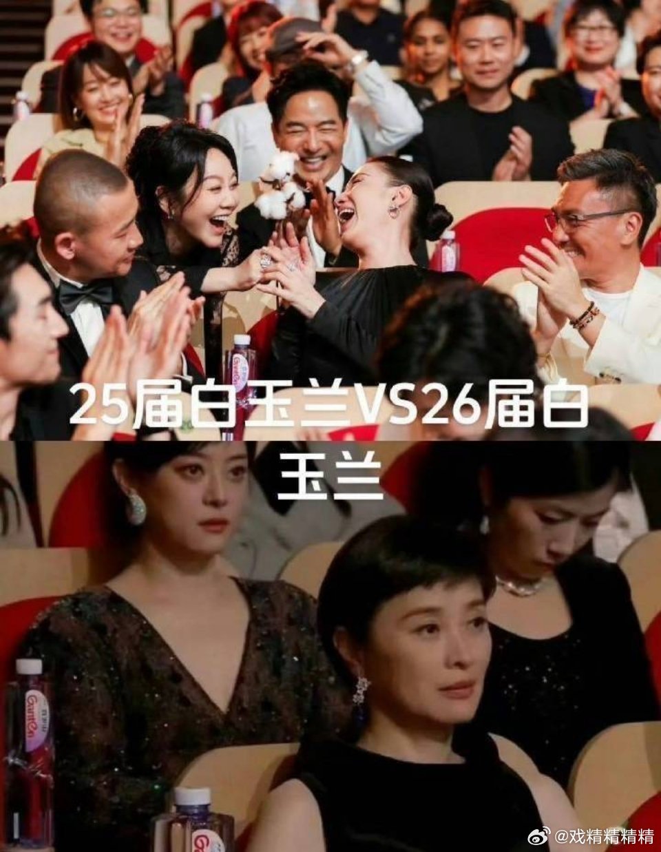 上届白玉兰和这届白玉兰 