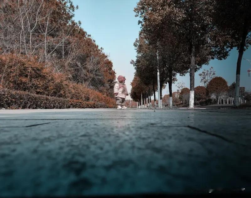 今年大寒，真冷。雪下得好大好大。

很多年没看到这么大的雪了。

今年的冷堪比2