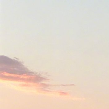#阳光信用[超话]#🌷#每日一善#🌷#阳光信用#🌷记住，自己的事，自己做主