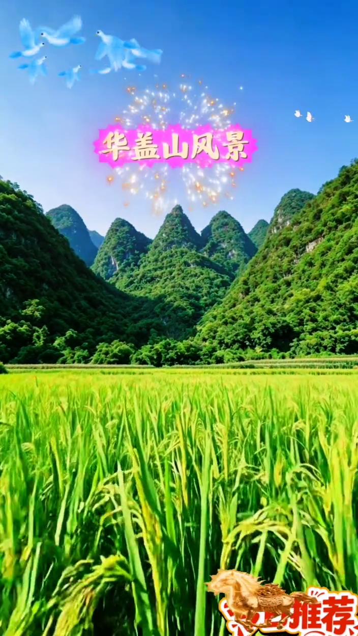 华盖山风景。