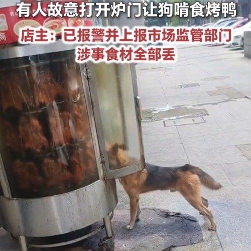 街边一家烤鸭店把刚烤好的鸭子放在门口炉子里，转头的功夫就出了事。有人故意伸手把炉