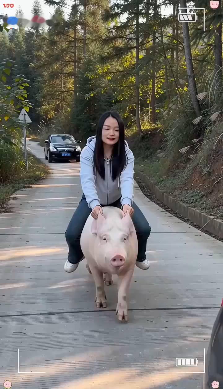 啦啦啦啦。