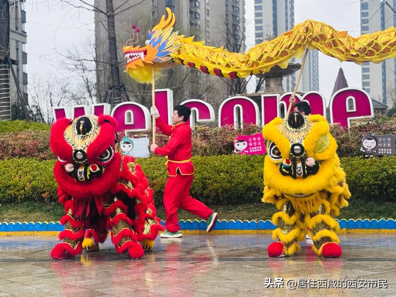 今天，社区组织了热闹的舞龙舞狮活动，让本该阴冷的新年里多了一份欢乐。
小时候，一