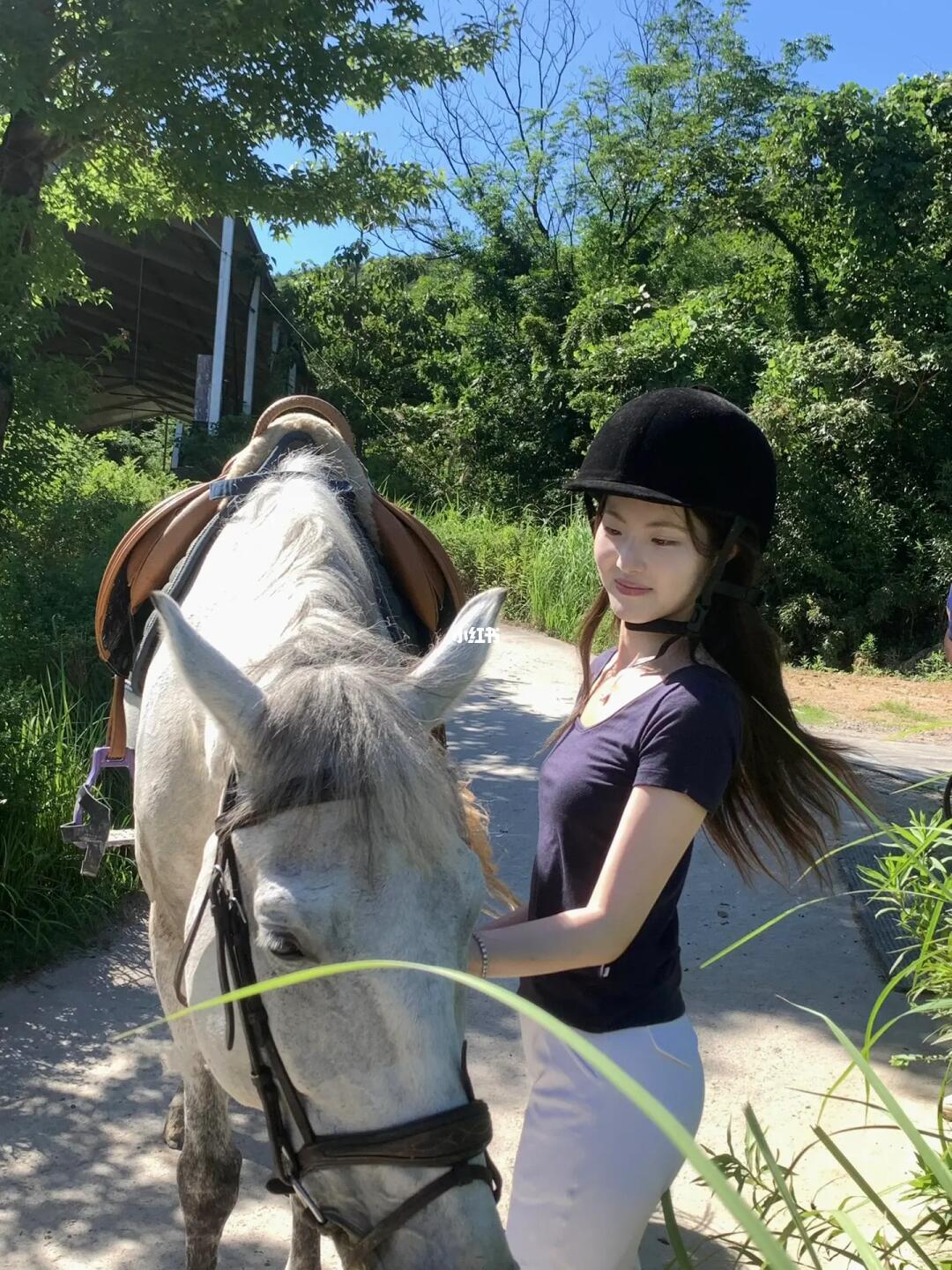 Horseback ride in the park
