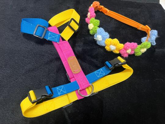 手工人有自己的haqi 独角兽🦄️