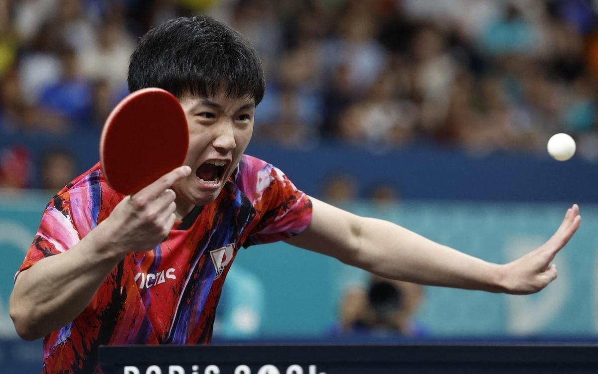 你听说了吗？巴黎奥运会乒乓球男单四强赛上演了一场惊心动魄的大戏！中国选手樊振东和