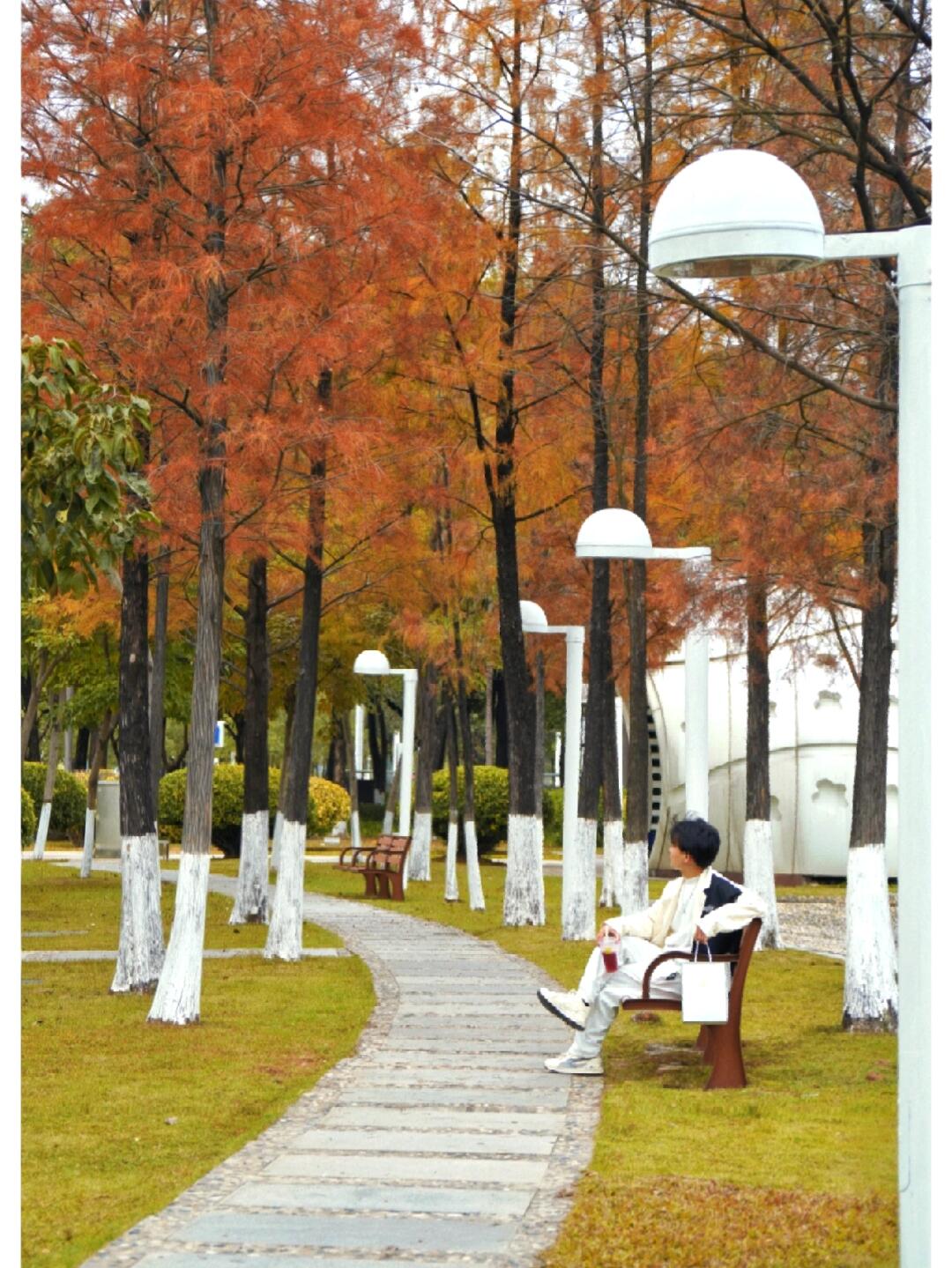 东莞经常被忽略的小众又绝美的公园