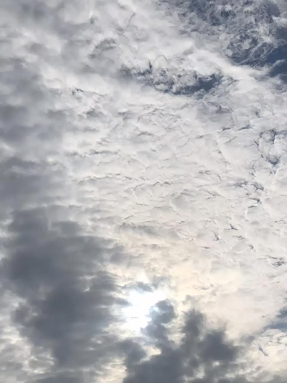 云隙里的光
 
抬眼望，云絮像被揉皱的纸，裹着铅灰的沉郁，把天压得低低的。风扯着