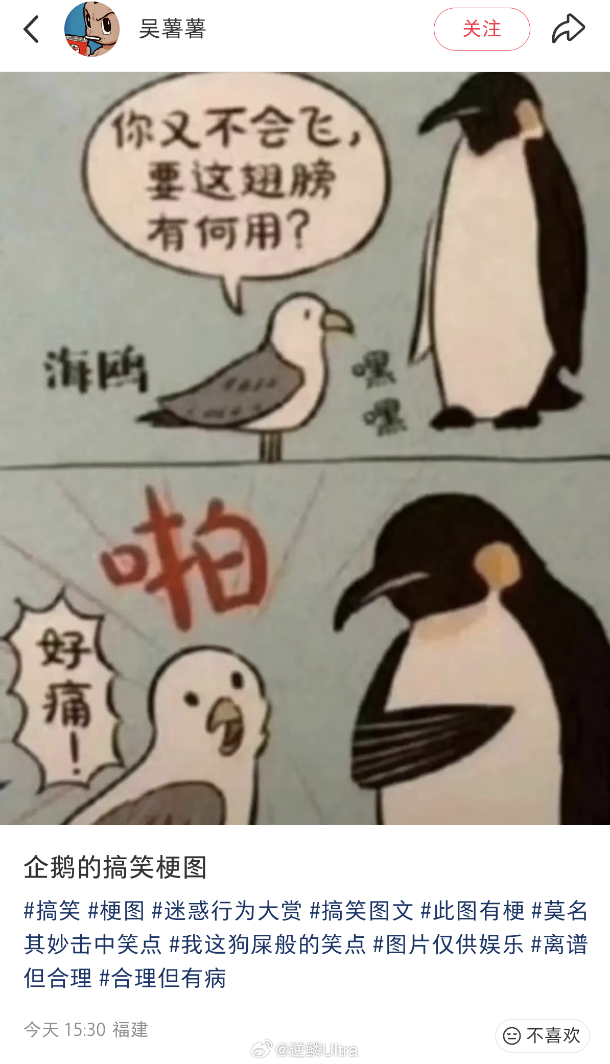 莫名的有点好笑