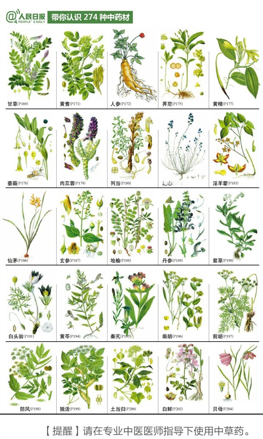 人民日报带你认识274种中药材，马住。[心]，老祖宗留下的宝藏[good] ​​