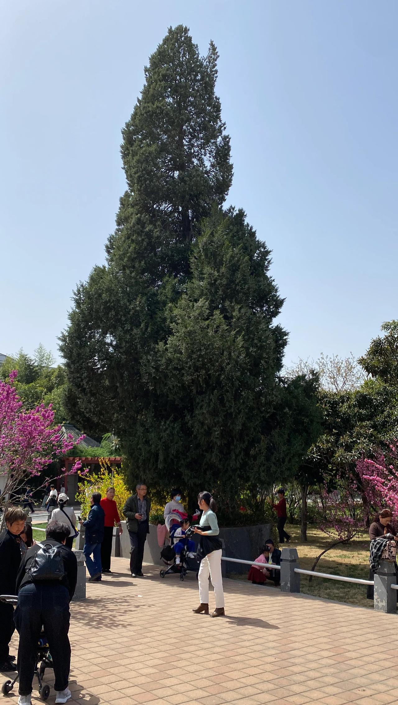 #毛主席一生究竟为了什么#
“人民”！