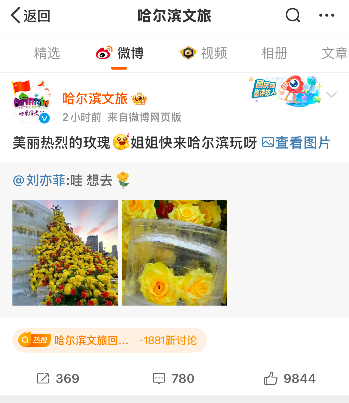 哈尔滨文旅回复刘亦菲 尔滨文旅又开始整活儿，🙋♀️kk也想去[害羞] 