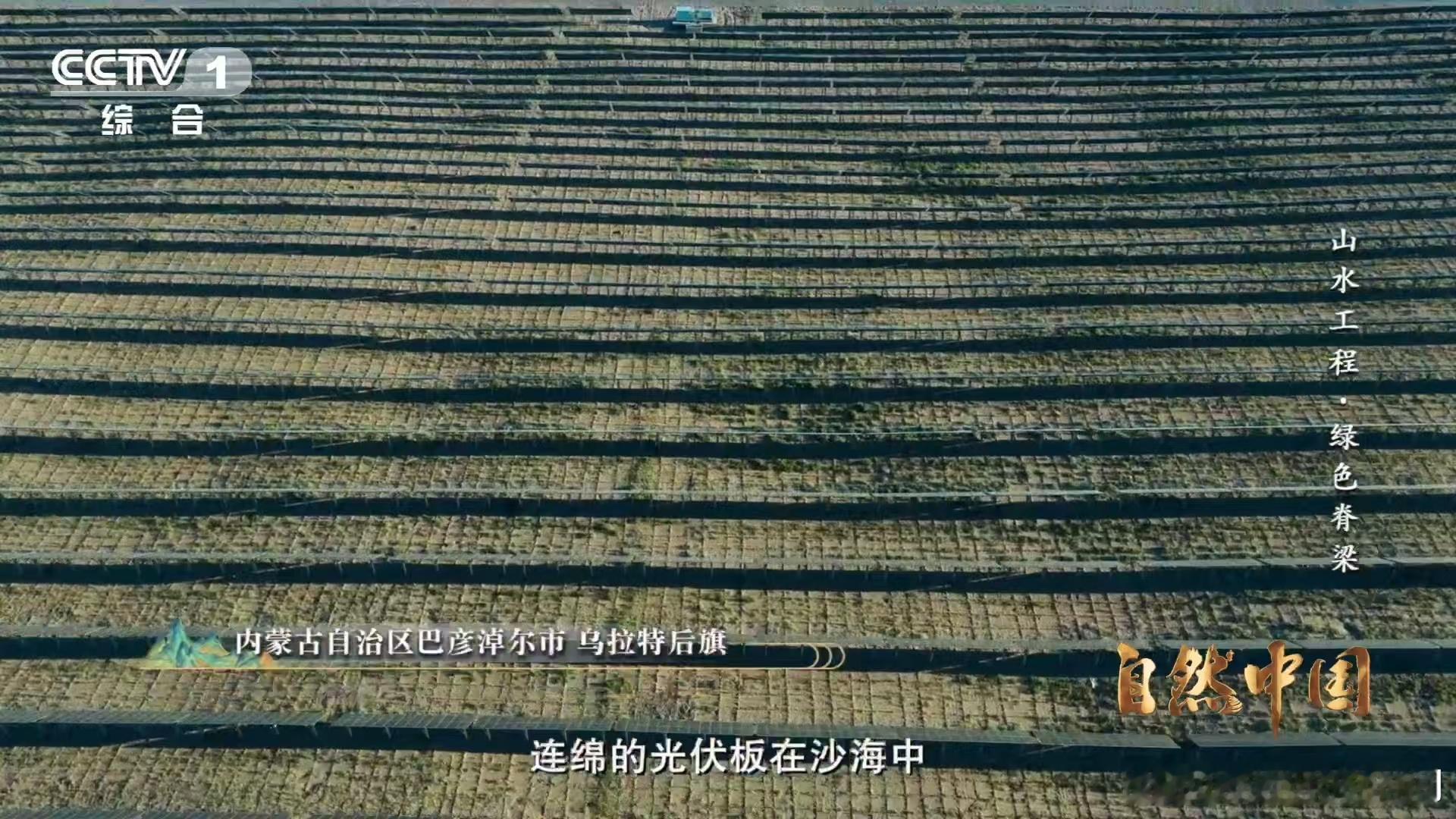 治沙界又添一员猛将光伏板一边发电一边治沙 蓝色板阵战黄沙！巴彦淖尔光伏板既产绿电