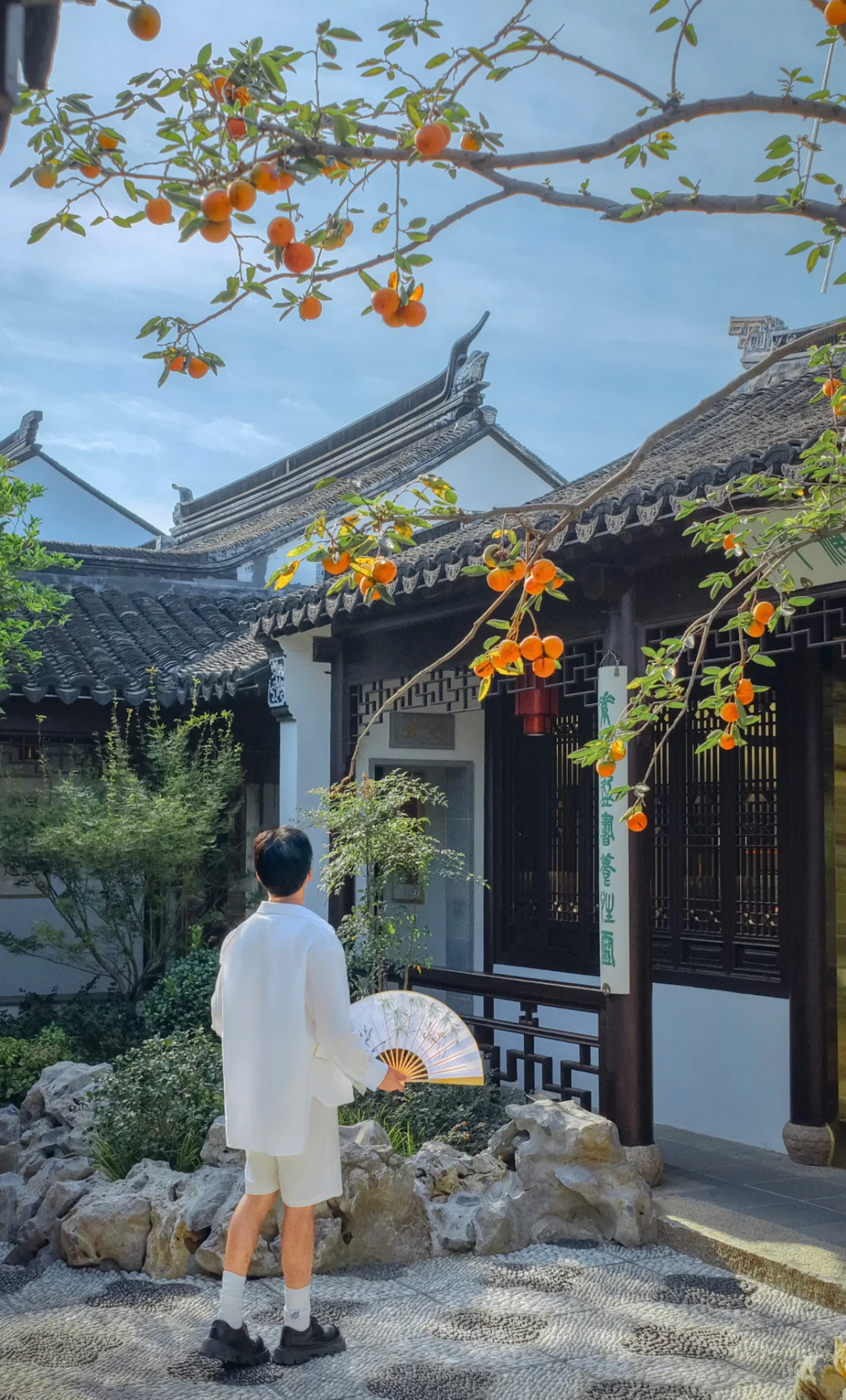 这独属于苏州柿柿如意🍅都藏在这博物馆里