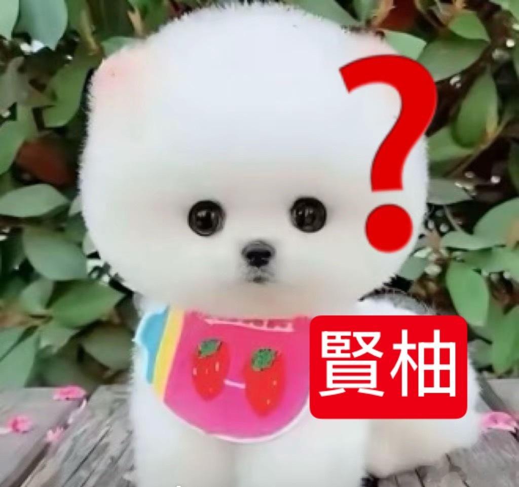 分享图片 