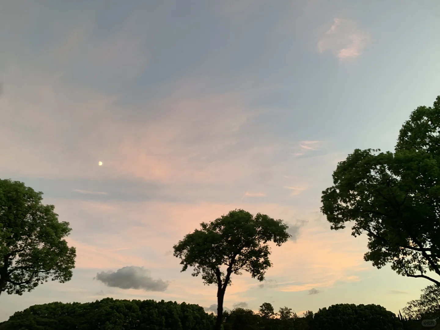 财务处的老师才是掌握着“实权”