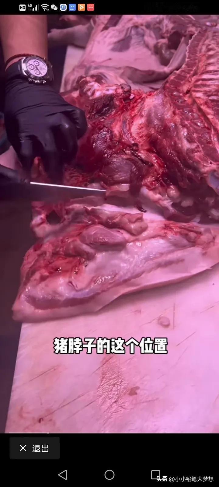 这就是槽头肉，呈三角形的，那一坨一坨的全都是淋巴，而且把它切下来，真的很像一块五