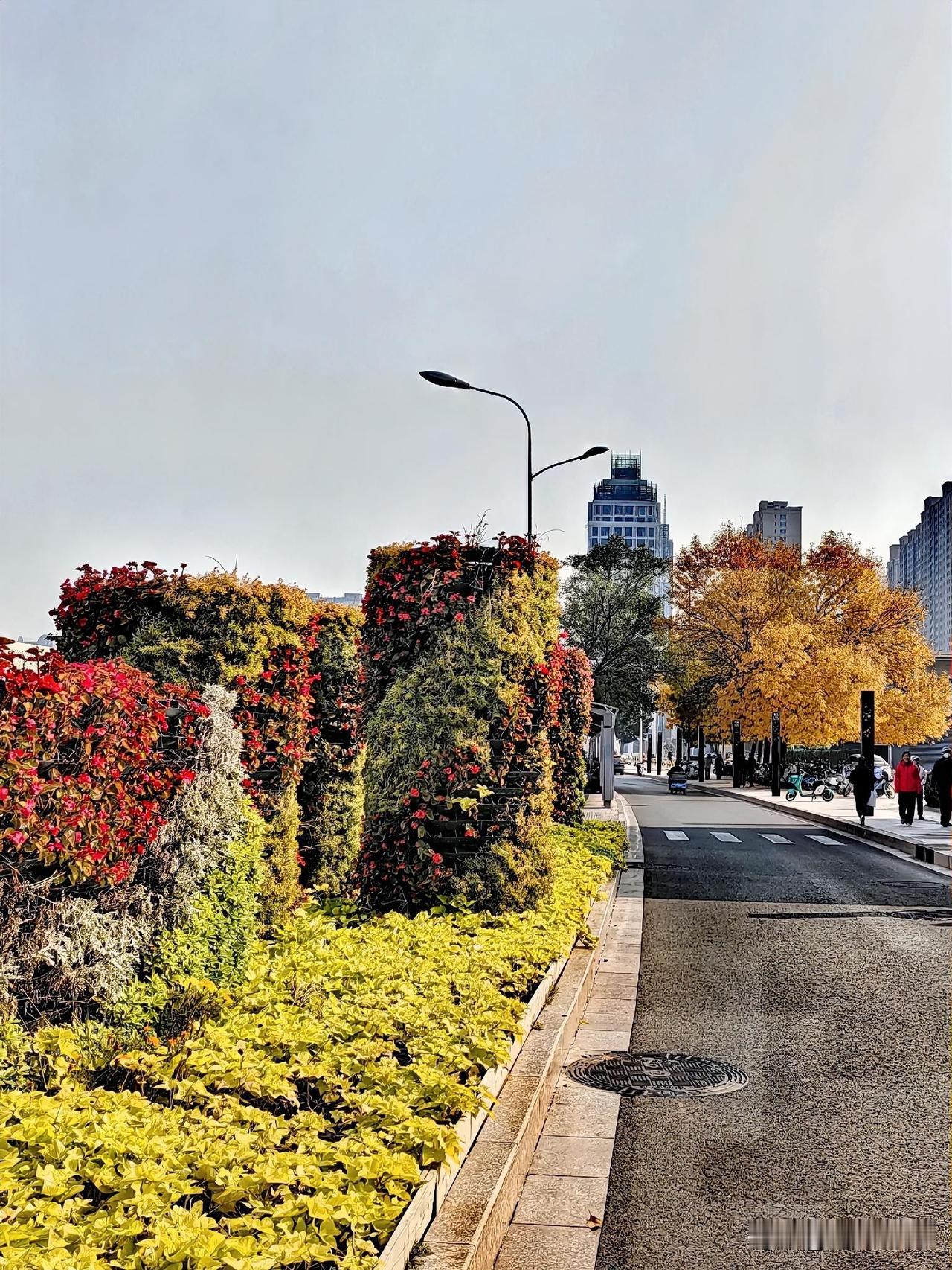 一年有四季春夏秋冬，
四季轮回、夏去秋来，
转眼到了深秋。

深秋的季节很美，